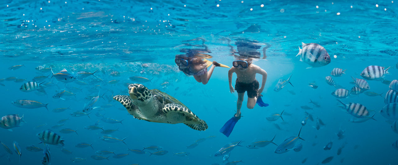 Snorkeling
